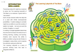 The Brainaissance Consultancy Final 221112_compressed-08