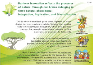 The Brainaissance Consultancy Final 221112_compressed-11