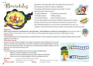 The Brainaissance Consultancy Final 221112_compressed-46