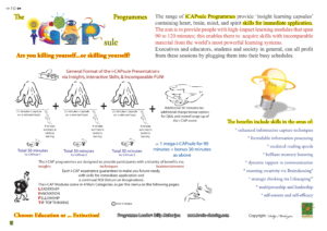 The Brainaissance Consultancy Final 221112_compressed-50
