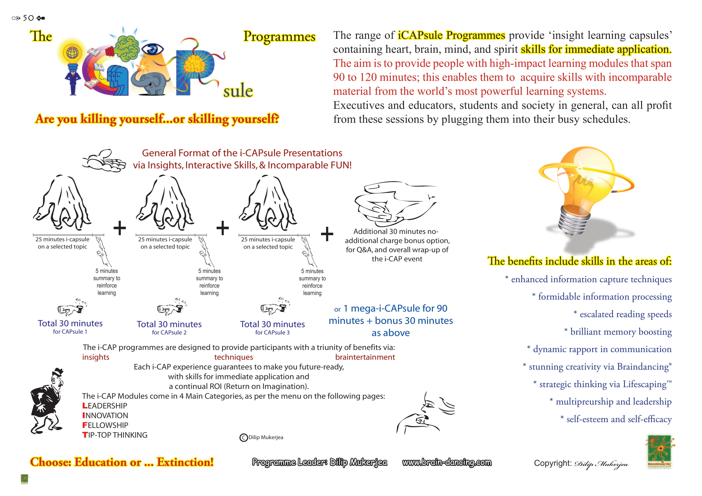 The Brainaissance Consultancy Final 221112_compressed-50
